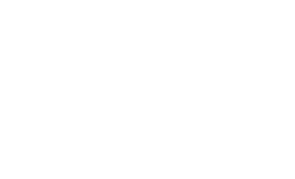 Logo Ellepiesse white